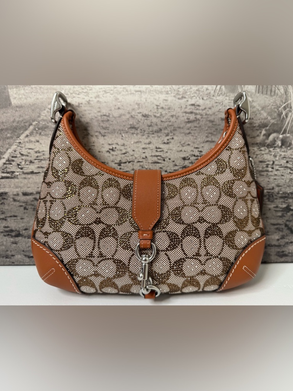 New Coach Crystal Signature Hamptons Hobo Bag Burnished Amber CW654